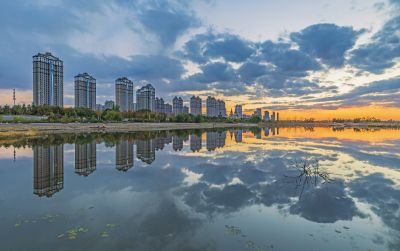 音乐公园外滩湿地
