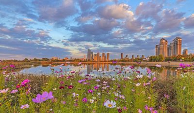 音乐公园外滩湿地