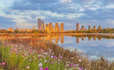 音乐公园外滩湿地