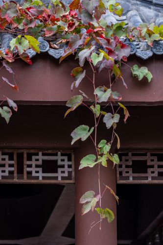 文化公园（一）