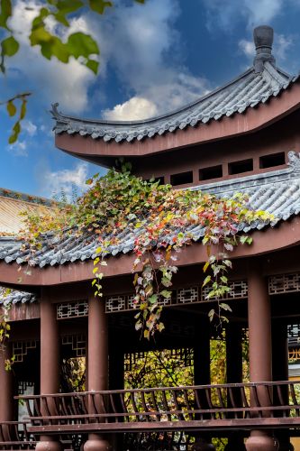 文化公园（一）