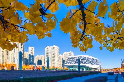 哈尔滨音乐厅的秋韵之美