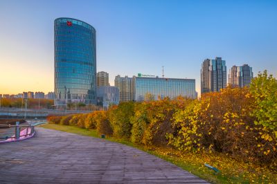 彩色的丁香公园1