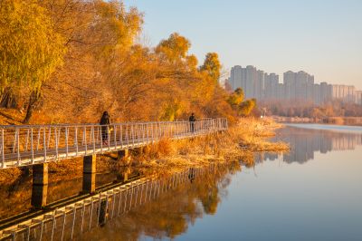 深秋季节大剧院湿地风光2