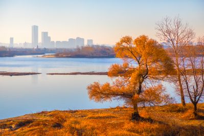 深秋季节大剧院湿地风光2