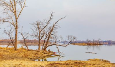 大剧院湿地深秋