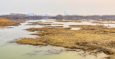 大剧院湿地深秋