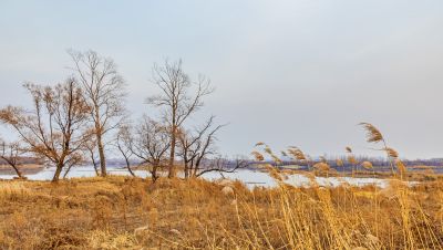 大剧院湿地深秋