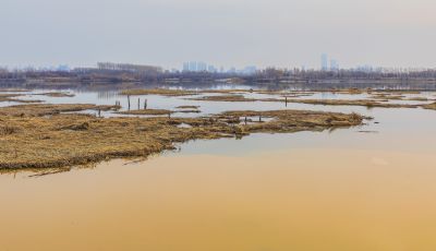 大剧院湿地深秋