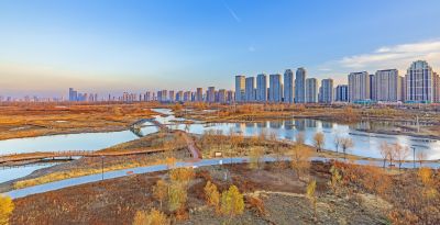 外滩湿地深秋