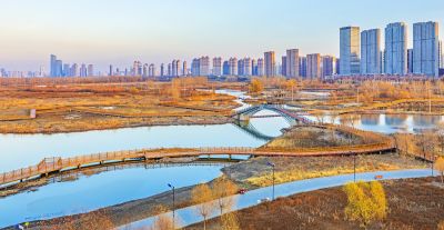 外滩湿地深秋