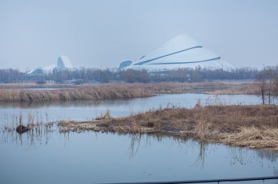 雾霾笼罩下的大剧院湿地