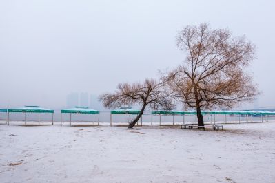 哈尔滨初雪的太阳岛