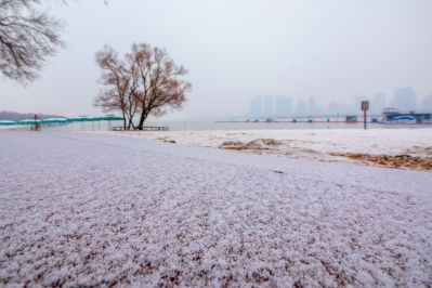 哈尔滨初雪的太阳岛