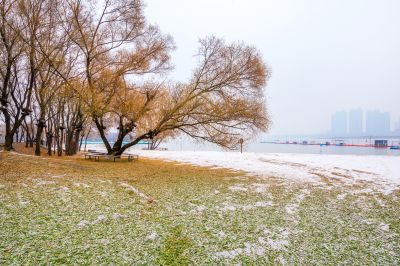 哈尔滨初雪的太阳岛