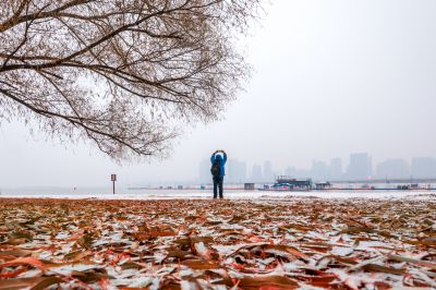 哈尔滨初雪的太阳岛