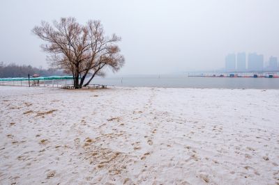 哈尔滨初雪的太阳岛