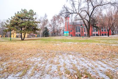 哈尔滨初雪的太阳岛