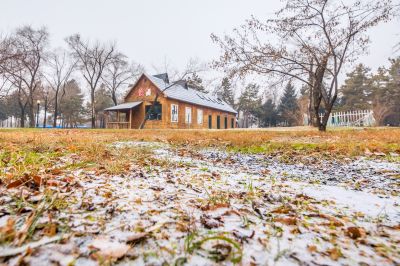 哈尔滨初雪的太阳岛
