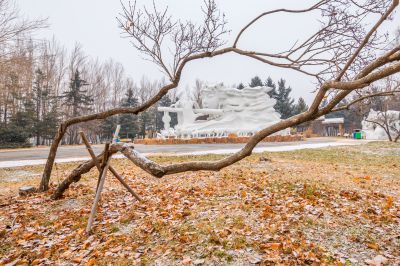 哈尔滨初雪的太阳岛
