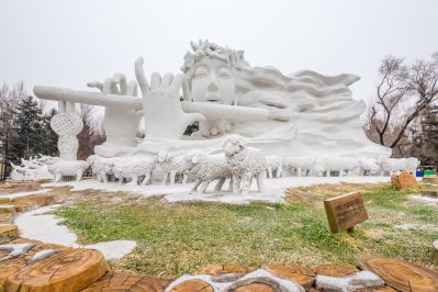 哈尔滨初雪的太阳岛