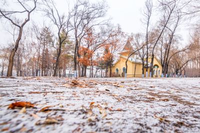 哈尔滨初雪的太阳岛