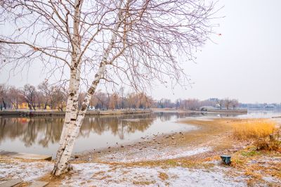 哈尔滨初雪的太阳岛