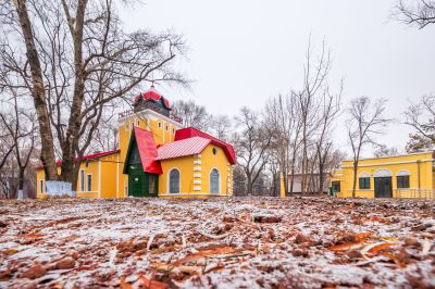 哈尔滨初雪的太阳岛