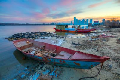 外滩湿地初冬掠影1