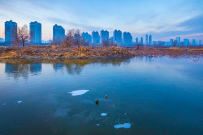 外滩湿地初冬掠影1