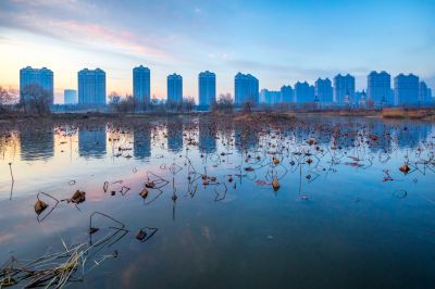 外滩湿地初冬掠影1