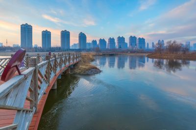 外滩湿地初冬掠影1