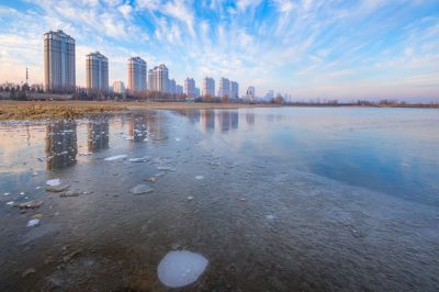 外滩湿地初冬掠影2