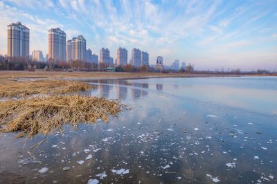 外滩湿地初冬掠影2