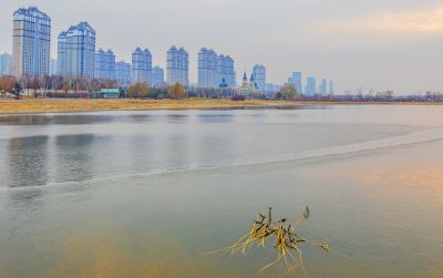 群力外滩湿地