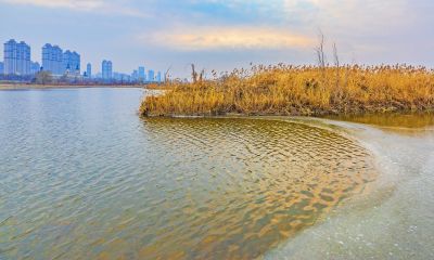 群力外滩湿地
