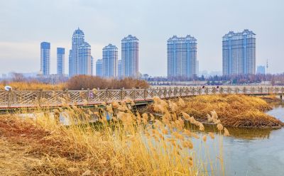 群力外滩湿地