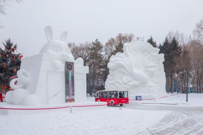 雪中的太阳岛