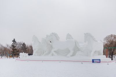 雪中的太阳岛