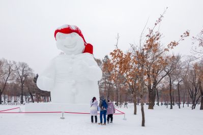 雪中的太阳岛