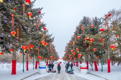 雪中的太阳岛