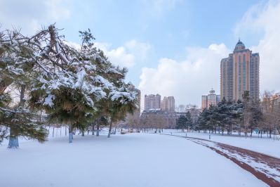 春雪后的湘江公园1