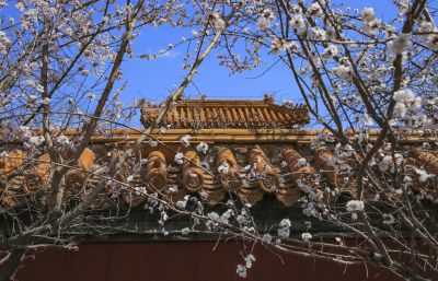 春季哈尔滨文庙