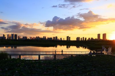 湿地晚霞