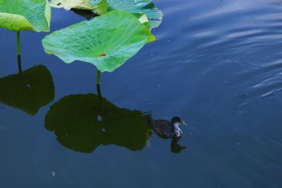 湿地风光