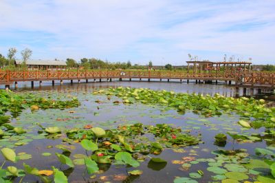 城市美景
