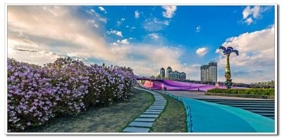 春季群力丁香公园