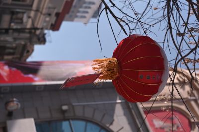 城市