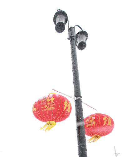 城市