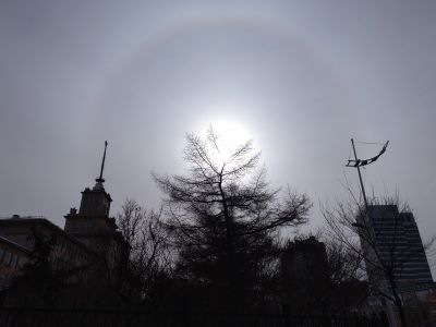 城市